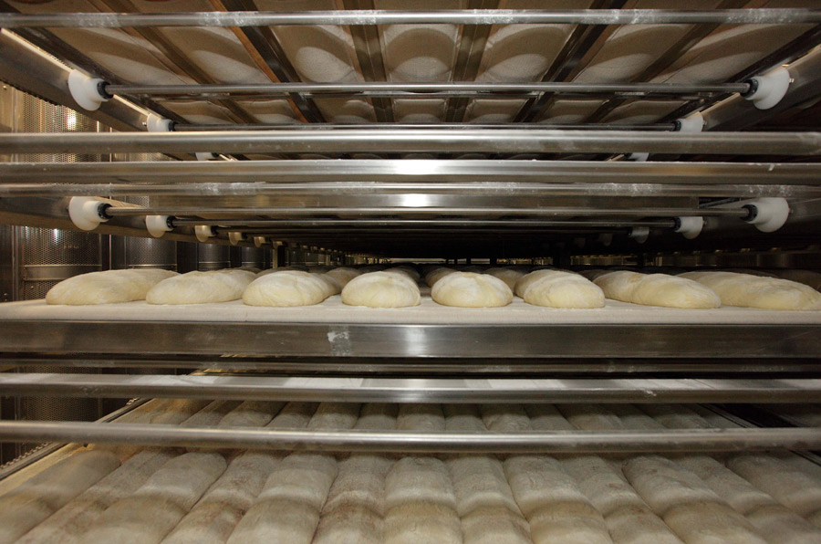 Celle di Lievitazione: CLM Bakery System Libera CLM Bakery System